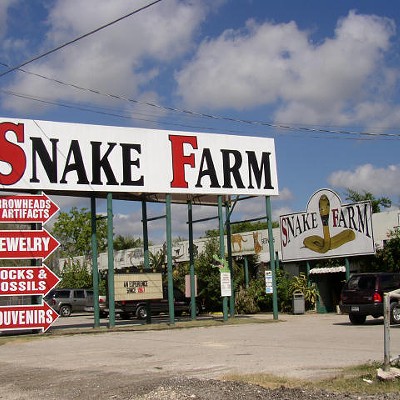 81. Indulge Your Inner Slytherin At The Snake Farm