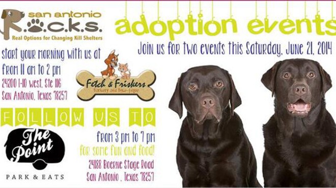 S.A. R.O.C.K.S. Dog Adoption Event This Weekend