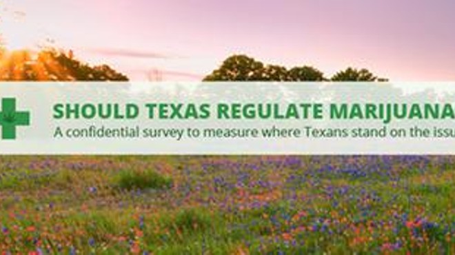 Survey Finds Texans Support Marijuana Regulation