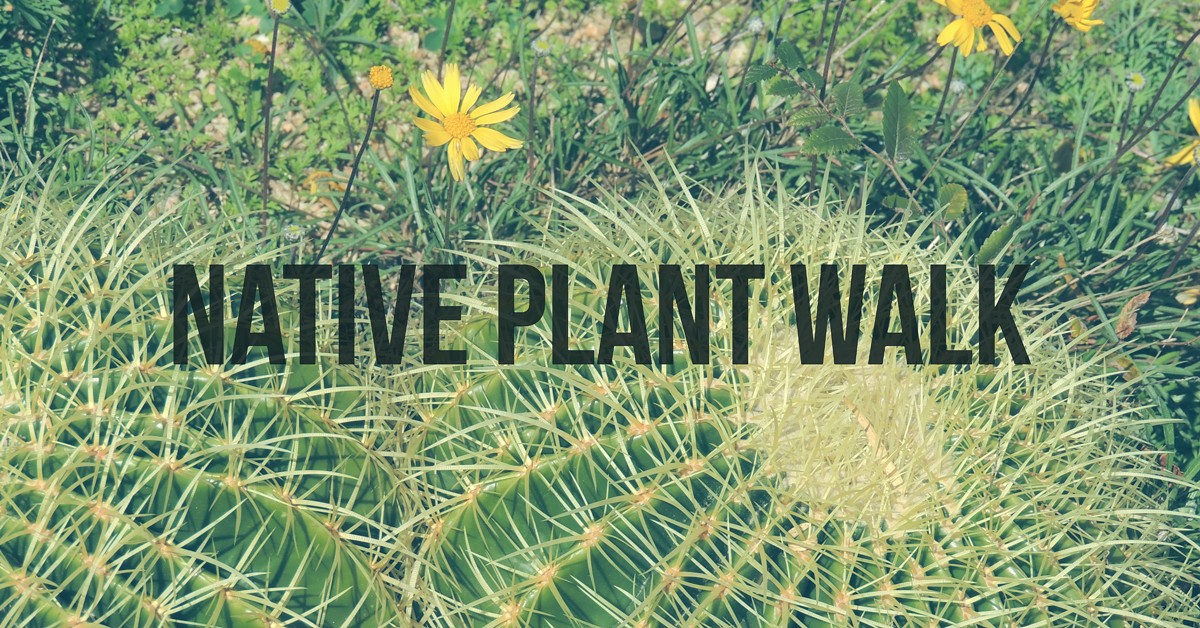 native_plant_walk_2_.jpg