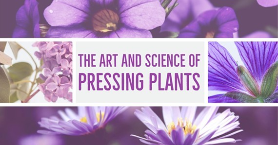 eeb4abf9_the_art_and_science_of_pressing_plants.jpg