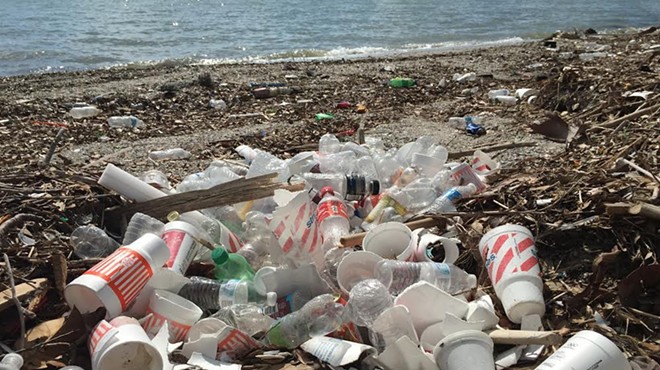 Non-biodegradable polystyrene cups lie strewn across the Corpus Christi Bay beach. (Notice those orange Whataburger cups?)
