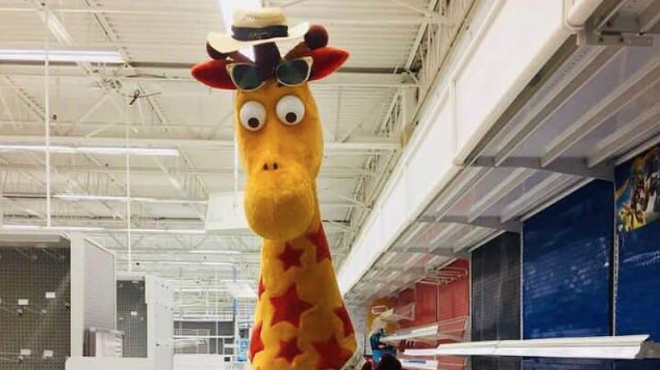 San Antonio Zoo Campaign to Acquire Geoffrey the Giraffe from Toys“R”Us Off to Slow Start