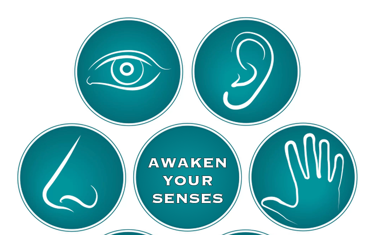 Image: Awaken Your Senses