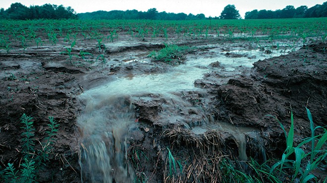 Runoff from a farm field transports pollutants during a rainstorm.