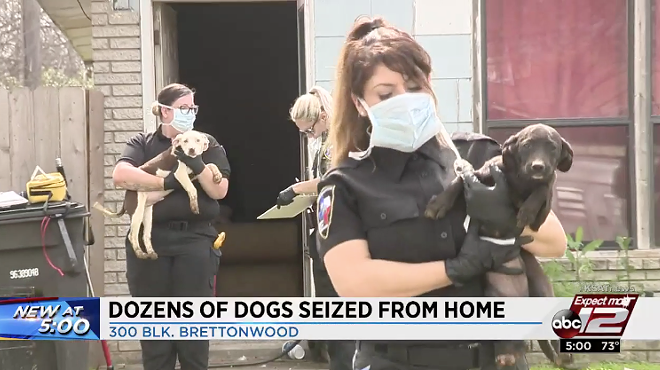 ACS Rescues More Than 20 Dogs From Self-Proclaimed Dog Rescuer's Home in Northeast San Antonio