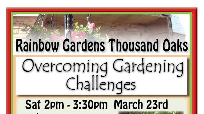 Overcoming Gardening Challenges