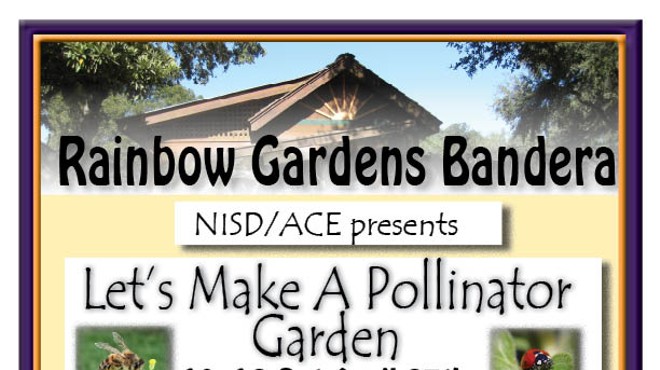 NISD/ACE presents Let's Make A Pollinator Garden