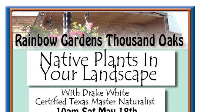 Native Plants In Your Landscape