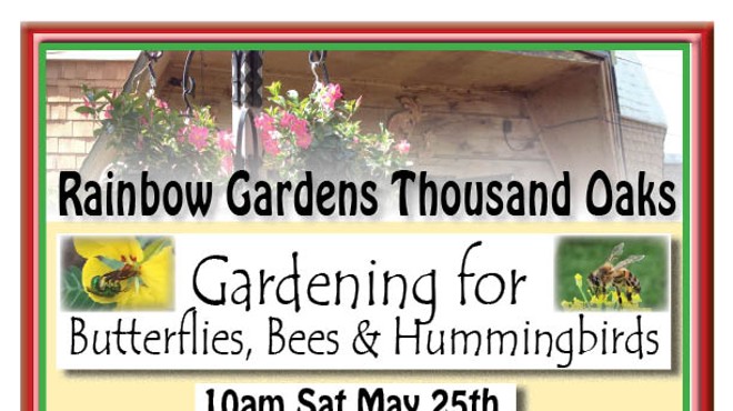 Gardening For Butterflies, Bees, and Hummingbirds