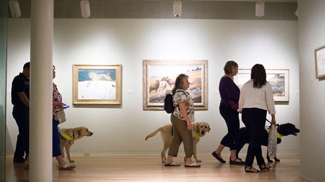 Visitors with visual impairments explore the museum with their guide dogs.