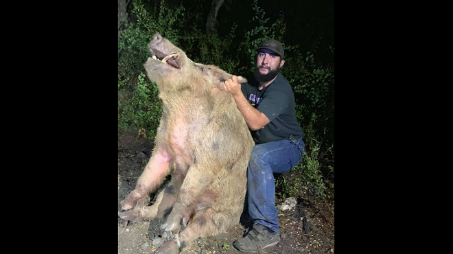 Ginormous, 411-Pound Feral Hog Caught Near Lackland AFB