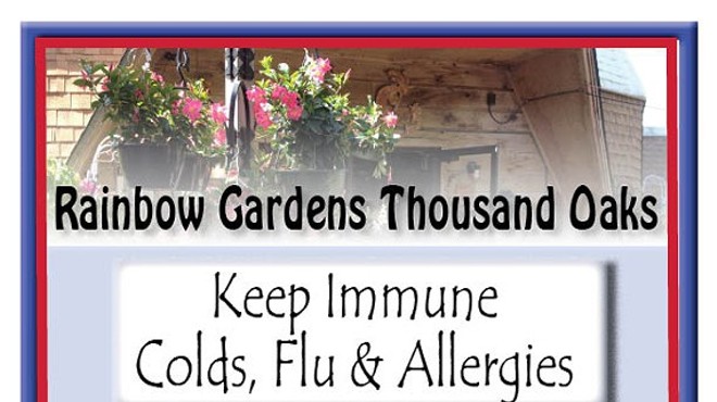 Keep Immune Colds, Flu & Allergies