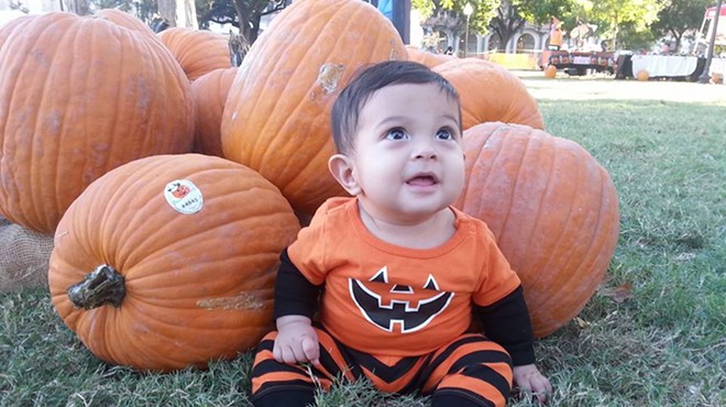 Put your kid amidst pumpkins and photograph him/her at the Centro San Antonio Flash Patch.