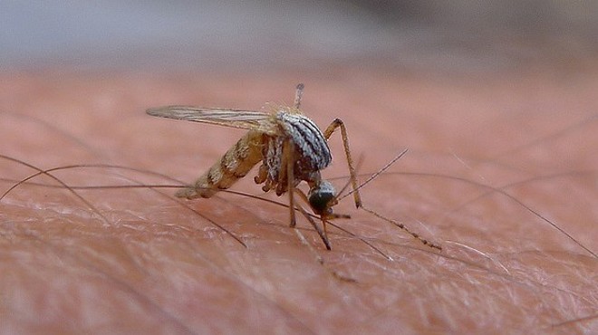 San Antonio has a hospitable environment for Zika virus.