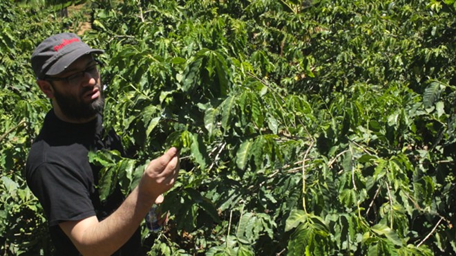 Brown Coffee Co. owner Aaron Blanco searching out the perfect coffee beans in the upcoming documentary Coffee Hunting: Kenya.