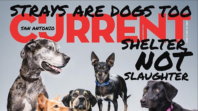 Some of the dogs featured on the Current's cover are still looking for homes.