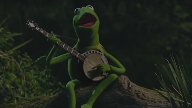 Kermit, pining for his former boo, Ms. Piggy.
