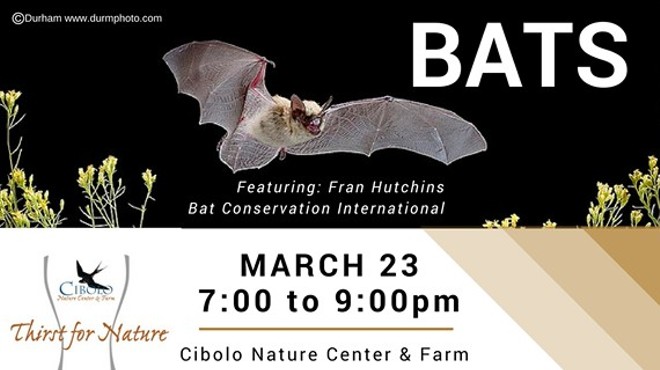 Thirst for Nature: Bats
