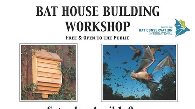 Bat House Building Workshop