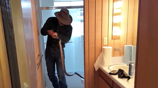 5-foot Snake Found in Toilet in Brazos County, Cold Weather May Be a Factor