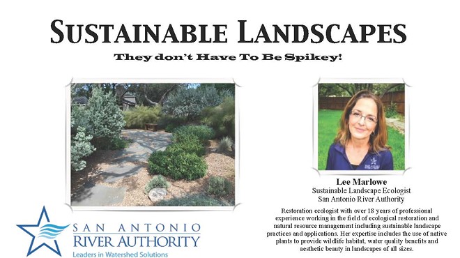 Sustainable Landscapes: They don't have to be spikey!