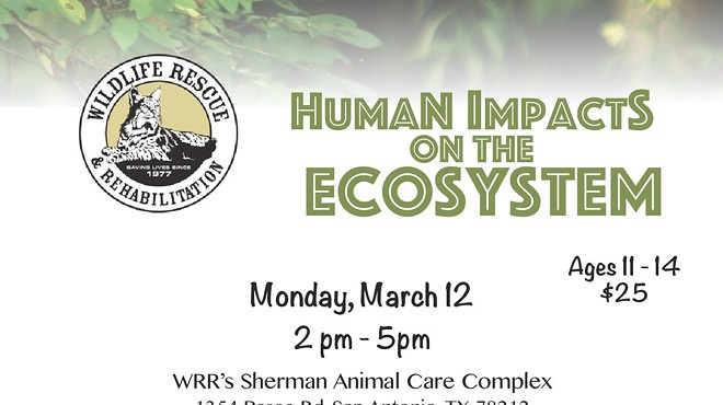 Human Impacts on the Ecosystem Workshop, Ages 11-14