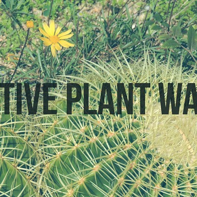 Native Plant Walk