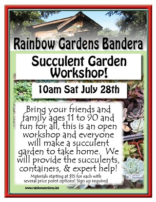 Succulent Garden Workshop