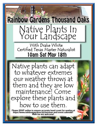 Native Plants In Your Landscape