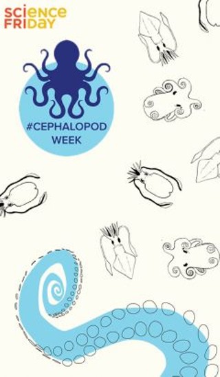Cephalopod Movie Night with Science Friday