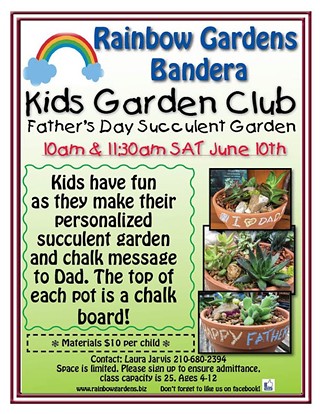 Kids Garden Club: Father's Day Succulent Garden