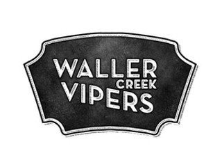 Swing Nite with The Waller Creek Vipers