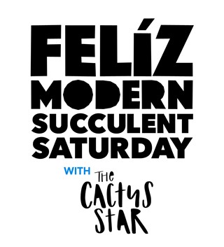 Feliz Modern Succulent Saturday with Cactus Star