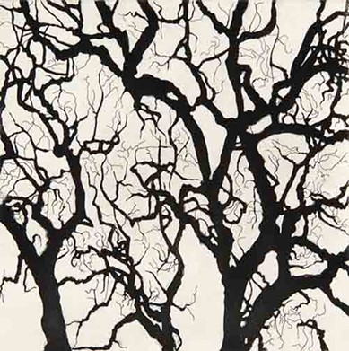 Nate Cassie, Sheet from Suite of Trees, 2011. Aquatint. Collection of the McNay Art Museum, Gift of Sarah Harte and John Gutzler and Brad Parman and Tim Seeliger