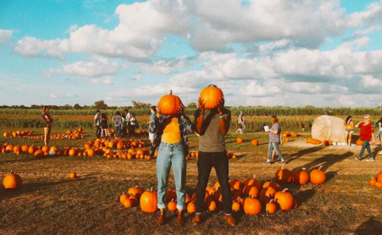 Barton Hill Farms
1115 FM 969, Bastrop, (855) 969-1115, bartonhillfarms.com
Get in the fall mood at Barton Hill Farms from September 29 to November 5. Open on weekends only, you and the family have a reason to head up for the weekend and enjoy the pumpkin patch, corn maze, games, slides, trains, duck races, face paintings, farm animals and live music. Plus, there’s plenty of food and drink available for purchase so you can stay energized on your adventure.
Photo via Instagram / blk_wallflowers
