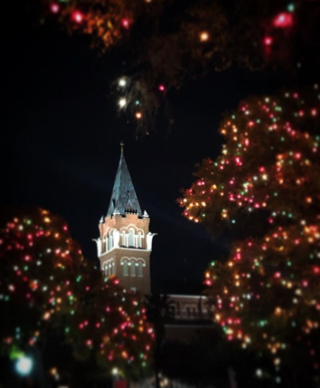 University of the Incarnate Word
4301 Broadway Street, lightthewaysa.com
Though the opening night festivities of Light The Way have since passed, the beautiful display of lights across the UIW campus remain. You’ll find lights nestled on numerous trees that literally light the way across campus.
Photo via Instagram / runjacksrun