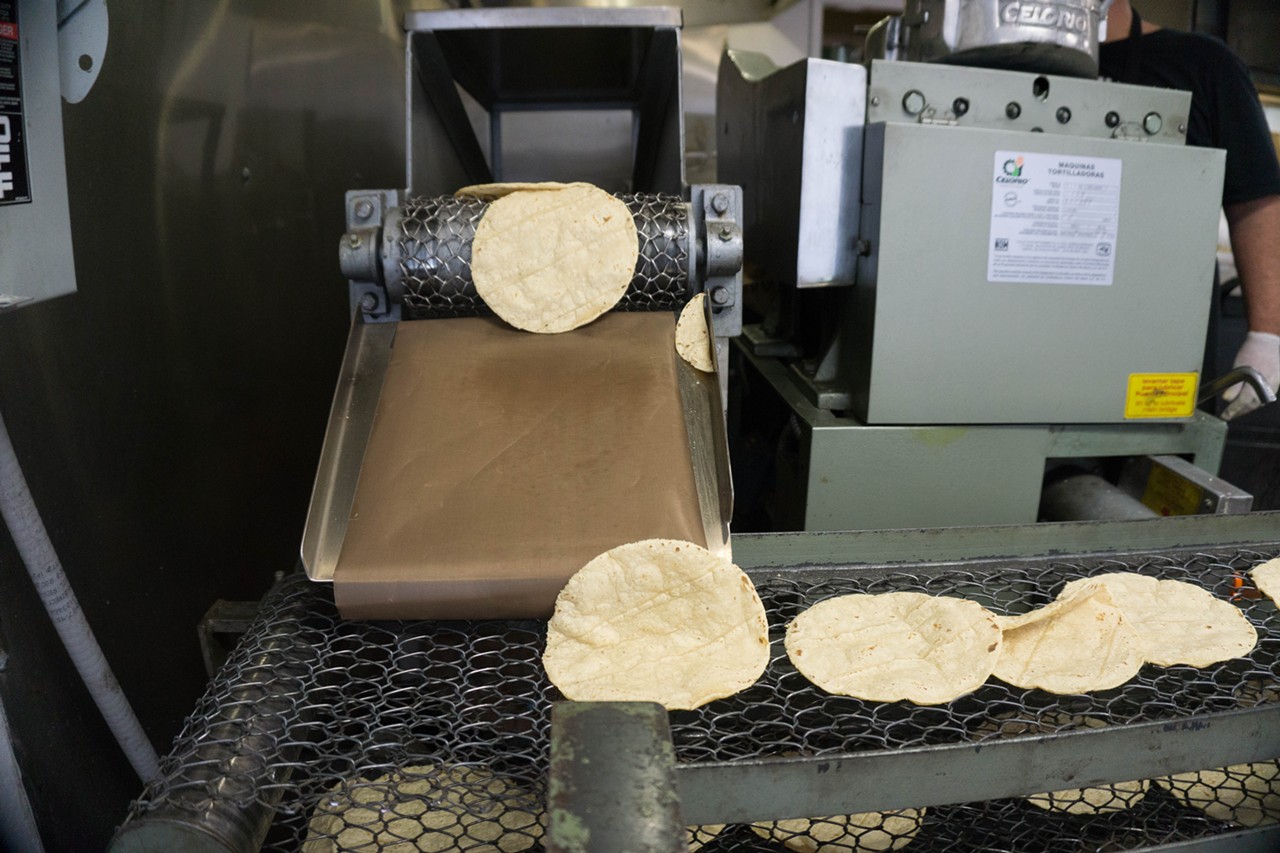 Chef Johnny Hernandez works with the Kohlleppel family— a third-generation farm family based in LaCoste, Texas— to harvest non-GMO corn varieties that are used to make the tortillas, chips, tamales and tostadas found in Hernandez’s resturants.