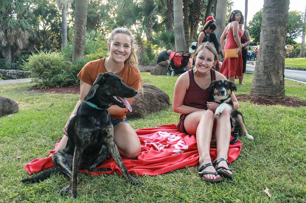 McNay Second Thursdays Says Farewell To Summer