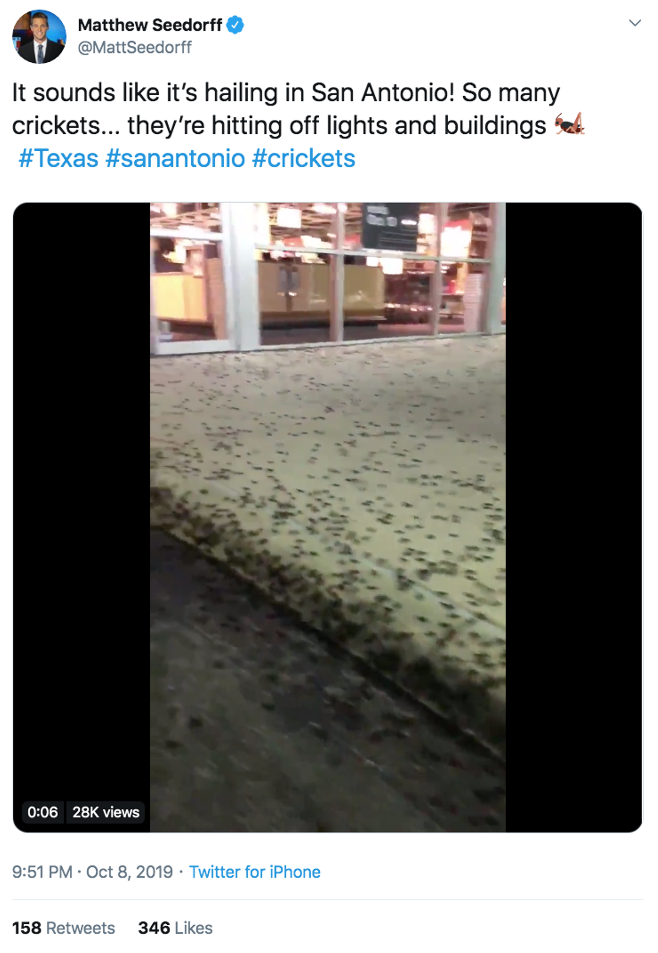 Lots of Locals are Freaking Out Over All the Crickets That Invaded San Antonio This Week