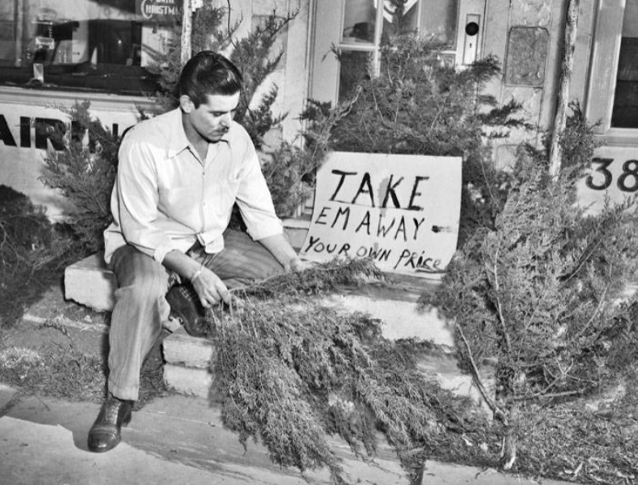 In the 500 block of Fredericksburg Road, there was a lot where you could get your own Christmas tree. Here you can see Richard Mendoza picking his tree. Hopefully he got a good deal.