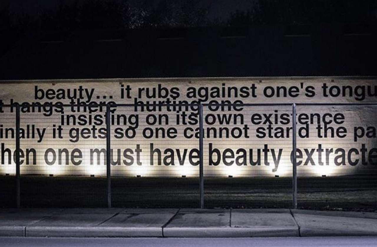 'Beauty &#133; it rubs against one&#146;s tongue / it hangs there hurting one / insisting on its own existence / 
finally it gets so one cannot stand the pain / then one must have beauty extracted.'
111 Camp Street
Artist: Daniel Joseph Martinez, 2008
On the back of the SPACE gallery is a massive mural-sized text painting by Daniel Joseph Martinez, a meditation on beauty. The piece is viewable at all hours of day.
Instagram/lindapacefoundation