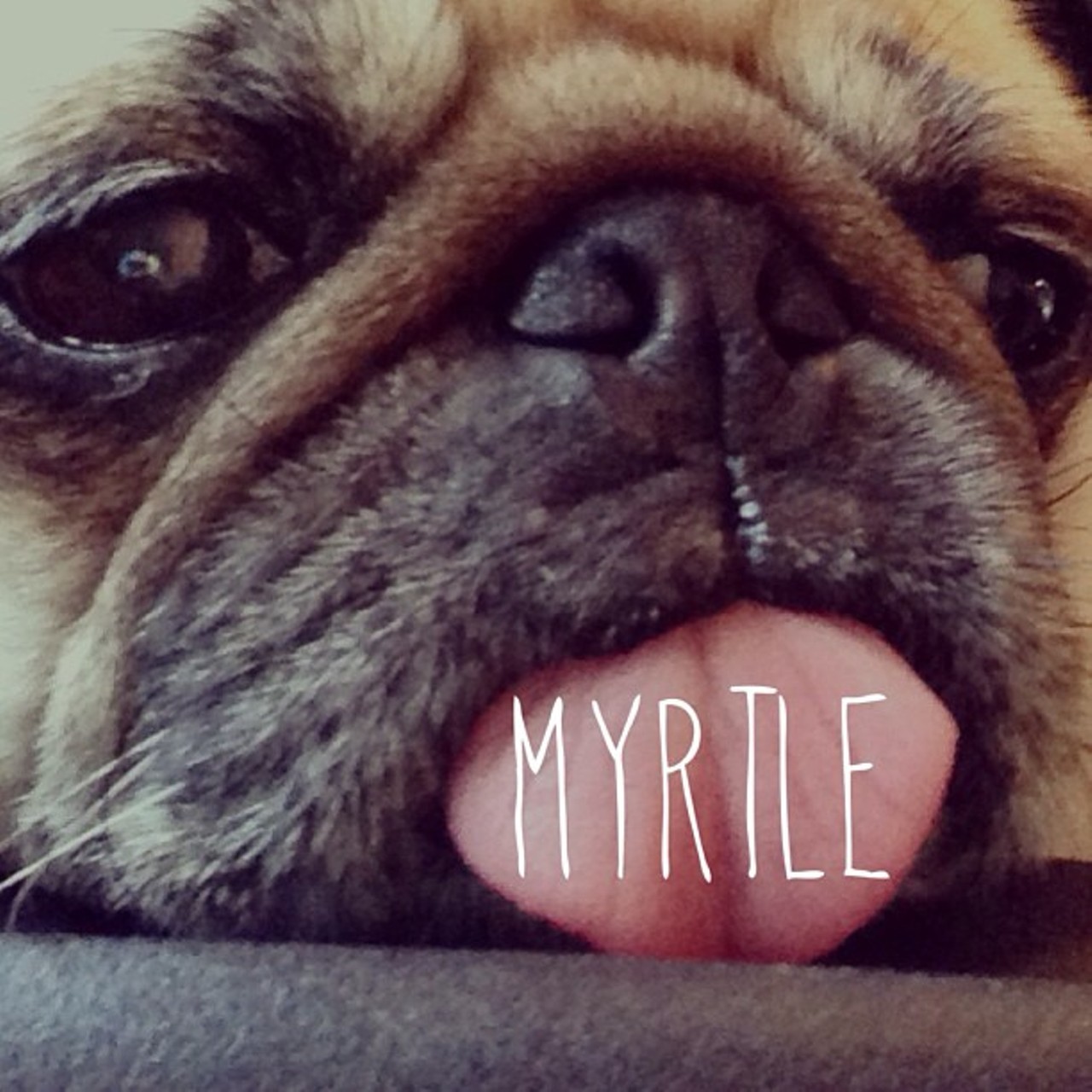 The ultimate Friday slump cure // Myrtle's greatest hits