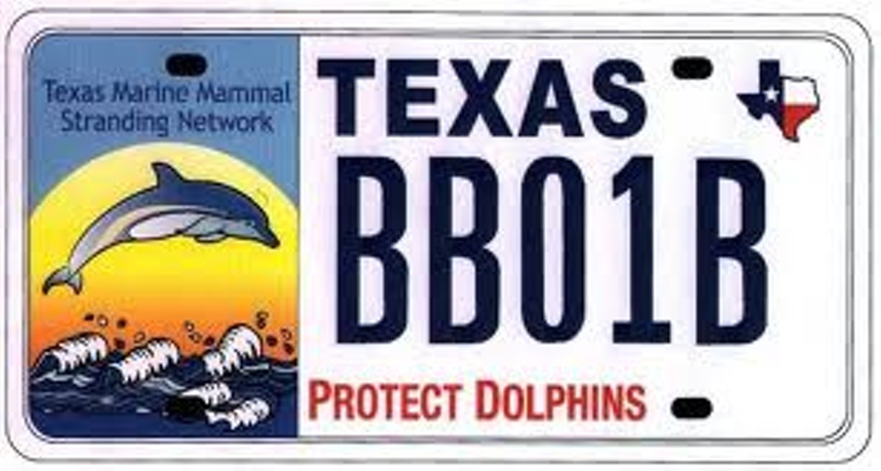 
Are you one of those people that always cuts up their plastic six-pack rings? If so, this is right up your alley. Help rehabilitate marine mammals when you buy this plate.
