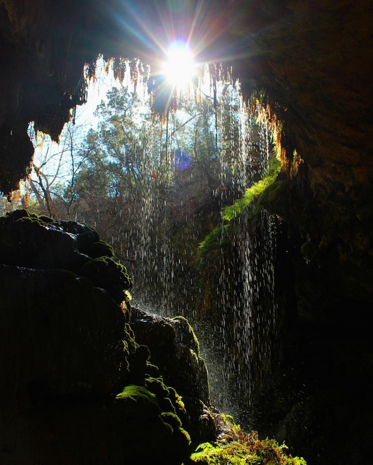 Westcave Waterfall in the Westcave Preserve  
24814 Hamilton Pool Road, Round Mountain, Texas 78663, (830) 825-3442, westcave.org 
Not far from Austin, Texas, the Westcave Preserve features a breathtaking cave formation with waterfalls and deep pools. 
Photo via Instagram (casec221)