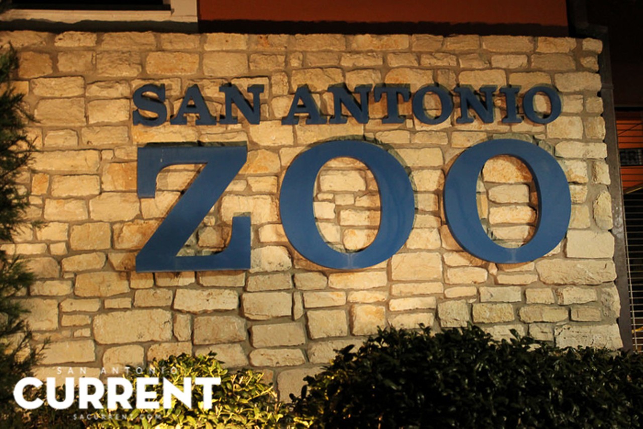 18 Photos of Croctoberfest at the San Antonio Zoo