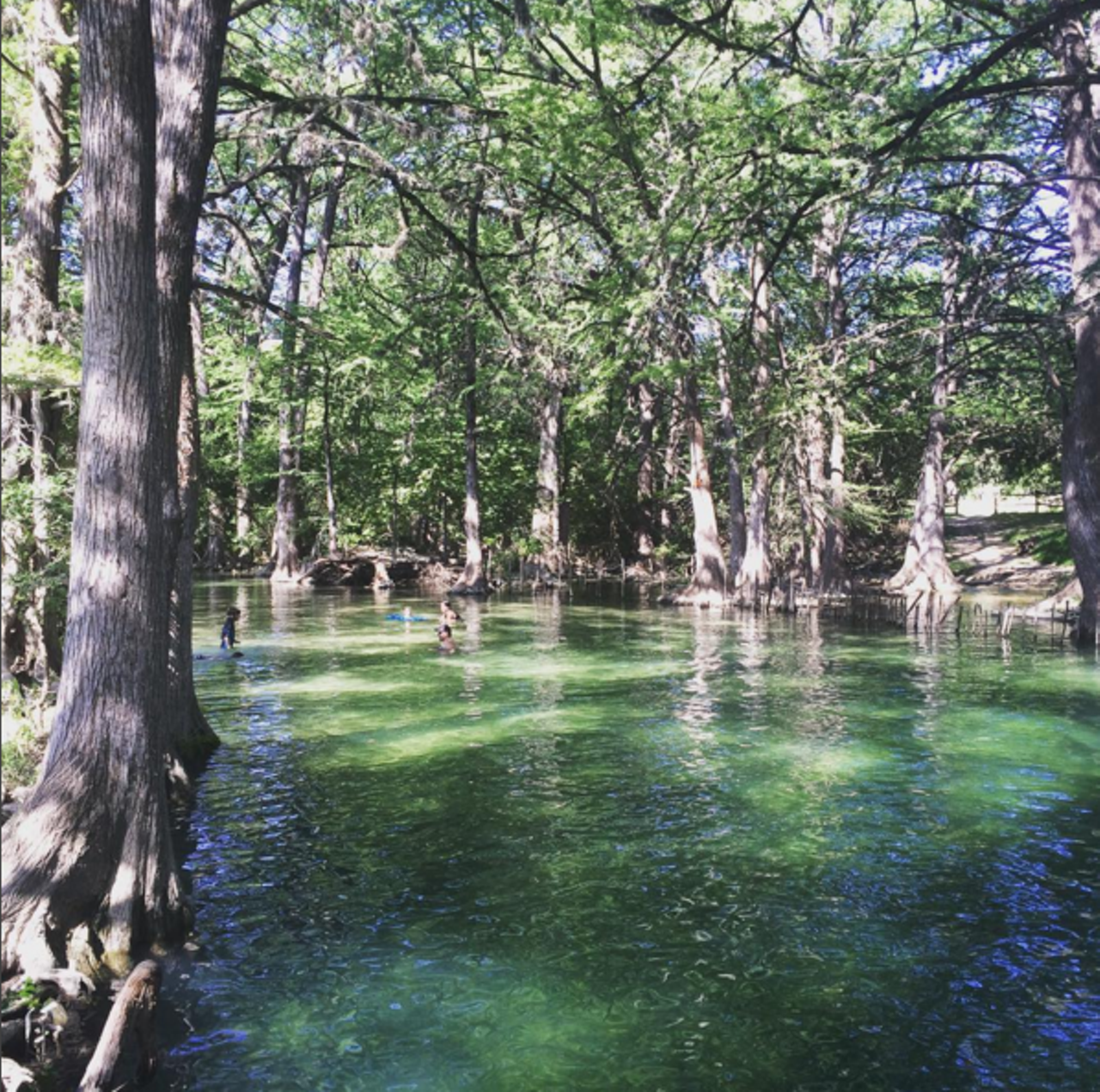 Wimberly Blue Hole
Blue Hole is an hour away and offers a peaceful swimming spot for folks looking to cool off. 
Photo via Instagram/lulunono