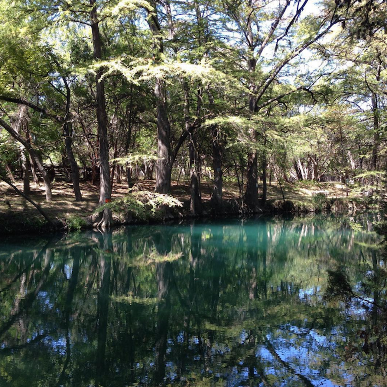 Blue Hole in Wimberley, Texas   
100 Blue Hole Road, Wimberley, Texas 78676, (512) 243-1643, tpwd.texas.gov 
You can take a dip or just bask in the shade of the old trees at this lovely swimming spot. The park even features rope swings for daring swimmers. 
Photo via Instagram (shoot_for_the_chars)