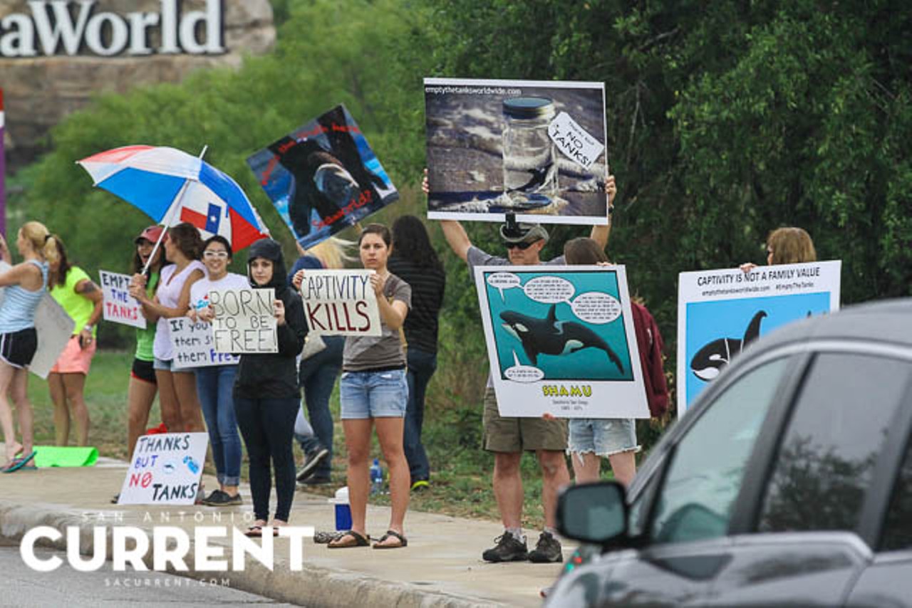 Empty the Tanks: Photos from the SeaWorld Protest