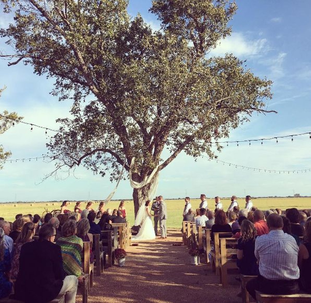The Allen Farmhaus
Exchange your vows underneath a historic 300-year-old oak tree with a view of the land for miles. The Allen Farmhaus offers both indoor and outdoor reception areas.
606 FM 758, New Braunfels, theallenfarmhaus.com
Photo via Instagram, theallenfarmhaus